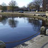 Hague Neighborhood (Norfolk)