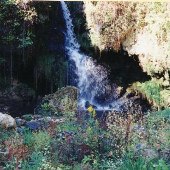 Waterfall (Rt. 56)