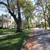 Seminary Avenue Neighborhood