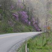 Dickenson County - Countryside