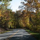Road to Mountain Lake