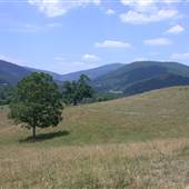 Scenics - Crozet