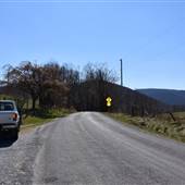 Scenic  View Gunstock Creek
