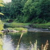 Rockfish River