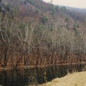 Coffman's River