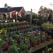 Countryside Garden Center