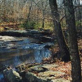 Prince William Forest Park