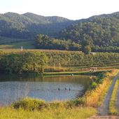 Spring Valley Orchard