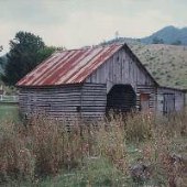 Bailey Farm - Rustic Barns
