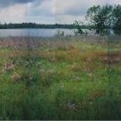 Cove - Varina
