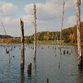 Curtis Lake