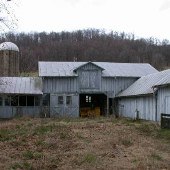 Learning Tree Farm