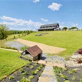 Reitano Vineyards