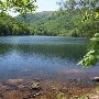 Sugar Hollow