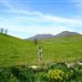 Thompson Valley