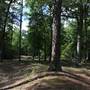 Cold Harbor National Battlefield Park