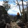 Apple Orchard Mountain