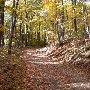 Browns Gap Fire Road