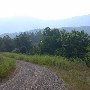 Forest Route 384