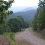 Forest Route 384