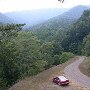 Forest Route 384