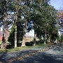 Blenheim Road