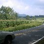 Scenic Roadshots - Rt. 231
