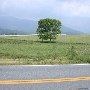 Scenic Roadshots - Rt. 231