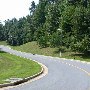 Scenic Roadshots Ivy