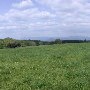 Advance Mills