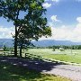 Scenics - Charlottesville