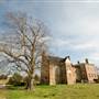 Bacon's Castle