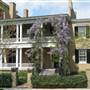 Cole Digges House