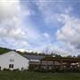 Blue Mountain Brewery and Hop Farm