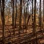 Algonkian Regional Park