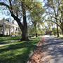 Seminary Avenue Neighborhood