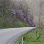 Dickenson County - Countryside