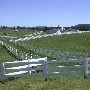 Mirador Estate and Horse Farm