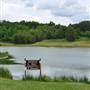 Lincolnshire Lake