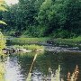 Rockfish River