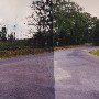 Rt. 640 - Quail