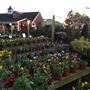 Countryside Garden Center