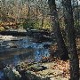 Prince William Forest Park