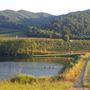 Spring Valley Orchard