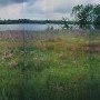 Cove - Varina