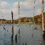 Curtis Lake
