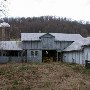 Learning Tree Farm