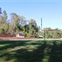 Cameron Field