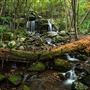 Apple Orchard Falls