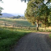 Myers Property